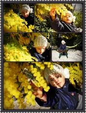 Photo 44
