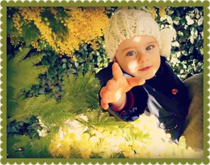 Photo 45