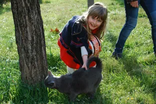 Photo 27
