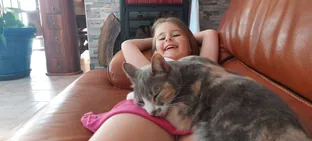 Photo 371