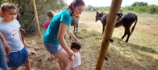 Photo 111