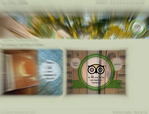 Les avis TripAdvisor