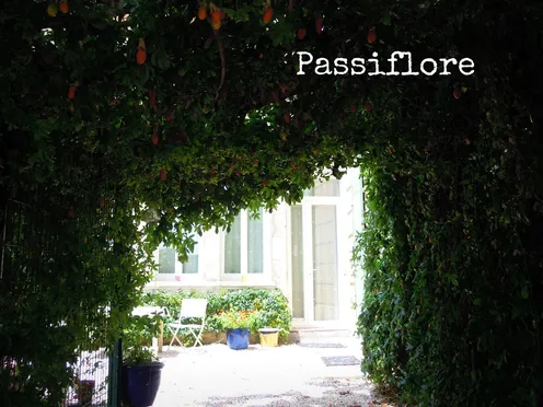 J'ai descendu dans mon jardin — Passiflore