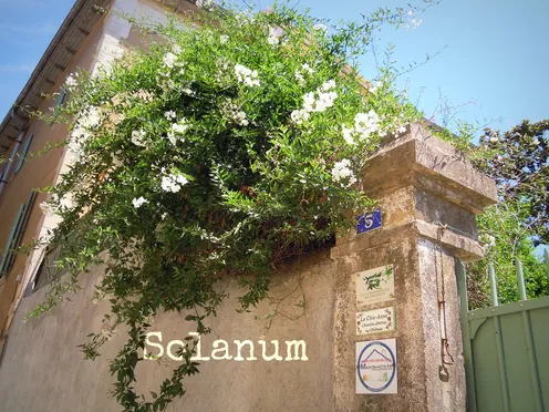 J'ai descendu dans mon jardin — Solanum