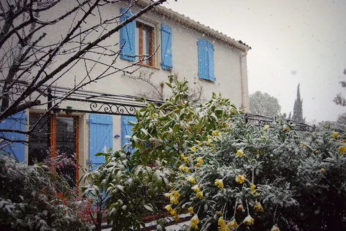 Sous la neige