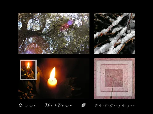 Collection d’hiver