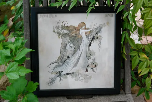 Vinyle « Novum »