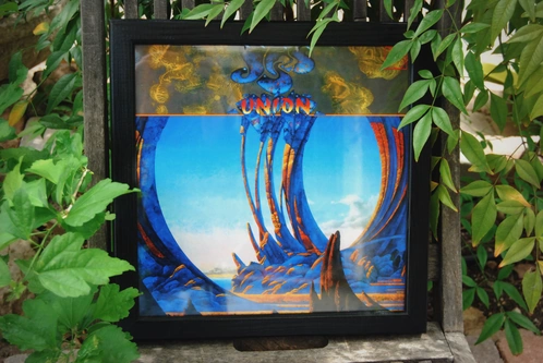 Vinyle « Union »